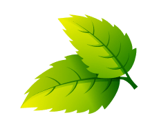 leaf1